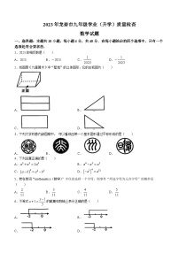 2023年福建省龙岩市中考二模数学试卷（含答案）
