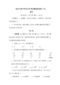 广西百色2023年初中学业水平考试模拟数学测试卷（五）（含答案）