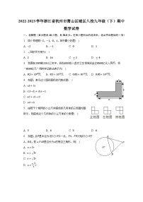 2022-2023学年浙江省杭州市萧山区城区八校九年级（下）期中数学试卷（含解析）