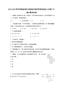 2022-2023学年河南省郑州市枫杨外国语学校东校区九年级（下）期中数学试卷（含解析）