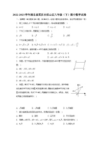 2022-2023学年湖北省武汉市洪山区八年级（下）期中数学试卷（含解析）