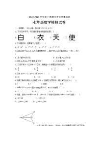 2022—2023学年北师大版七年级数学下册期末模拟试卷