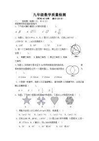 2017学年度第二学期（期中）九年级数学质量检测（无答案）