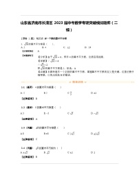 山东省济南市长清区2023届中考数学专项突破模拟题库（二模）含解析