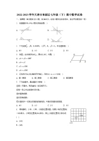2022-2023学年天津市东丽区七年级（下）期中数学试卷(含解析）