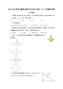 2022-2023学年安徽省合肥市庐江县九年级（下）月考数学试卷（3月份）（含解析）