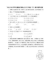 2022-2023学年安徽省马鞍山七中八年级（下）期中数学试卷(含解析）