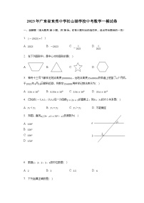 2023年广东省东莞中学松山湖学校中考数学一模试卷(含答案)