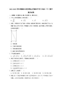 2022-2023学年安徽省合肥市蜀山区琥珀中学八年级（下）期中数学试卷（含解析）