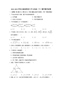 2022-2023学年云南省昆明八中七年级（下）期中数学试卷（含解析）