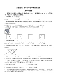 2023年安徽省芜湖市无为市中考三模数学试题（含答案）