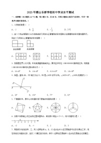 2023年广东省湛江市霞山区乐群学校中考一模数学试题（含答案）