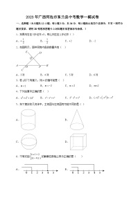 2023年广西河池市东兰县中考数学一模试卷（含答案）