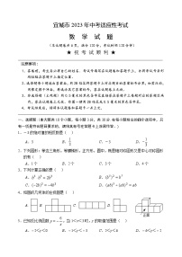 2023年湖北省襄阳市宜城市中考适应性考试数学试题（含答案）