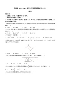 2023年云南省中考二模数学试题（含答案）