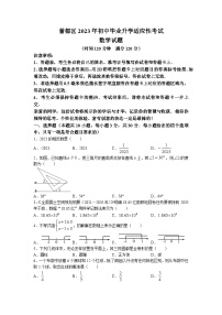 2023年湖北省随州市曾都区中考一模数学试题