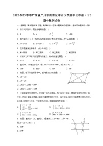 2022-2023学年广东省广州市海珠区中山大学附中七年级（下）期中数学试卷（含解析）