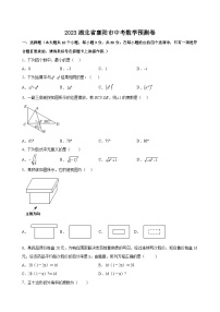 2023年湖北省襄阳市中考数学预测卷（含答案）