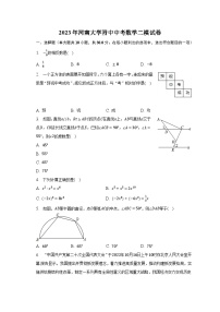 2023年河南大学附中中考数学二模试卷（含解析）