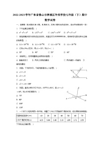 2022-2023学年广东省佛山市禅城区华英学校七年级（下）期中数学试卷（含解析）