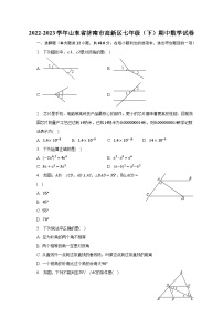 2022-2023学年山东省济南市高新区七年级（下）期中数学试卷（含解析）