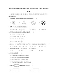 2022-2023学年四川省成都七中育才学校八年级（下）期中数学试卷（含解析）