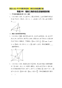 专题08  相似三角形综合压轴真题训练