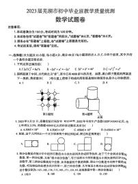 2023年芜湖市中考数学三模含答案