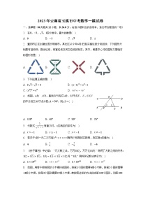 2023年云南省玉溪市中考数学一模试卷（含解析）