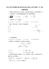 2022-2023学年浙江省宁波市北仑区小浃江中学七年级（下）期中数学试卷（含解析）