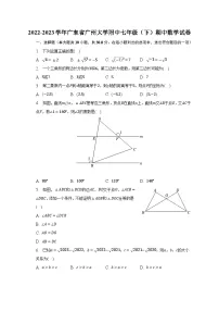 2022-2023学年广东省广州大学附中七年级（下）期中数学试卷（含解析）