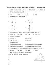 2022-2023学年广东省广州市黄埔区八年级（下）期中数学试卷（含解析）