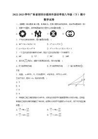 2022-2023学年广东省深圳市福田外国语学校八年级（下）期中数学试卷（含解析）