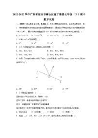 2022-2023学年广东省深圳市南山区育才集团七年级（下）期中数学试卷（含解析）