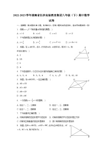 2022-2023学年湖南省长沙实验教育集团八年级（下）期中数学试卷（含解析）