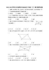 2022-2023学年江苏省常州市金坛区八年级（下）期中数学试卷（含解析）