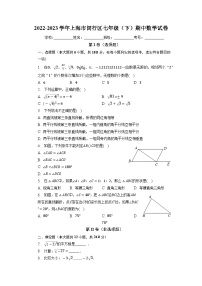 上海市闵行区2022-2023学年七年级下学期期中数学试卷