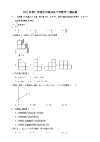 2022年浙江省丽水市青田县中考数学二模试卷(含答案)