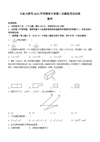 2023年河南省天宏大联考中考二模数学试题（含答案）