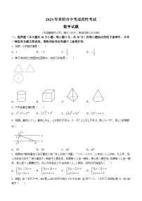 2023年湖北省襄阳市枣阳市中考一模数学试题（含答案）