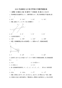 2023年四川省成都市七中育才学校中考数学模拟卷（含答案）