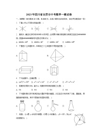 2023年四川省自贡市中考数学一模试卷（含解析）