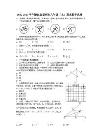 2022-2023学年浙江省温州市八年级（上）期末数学试卷（含解析）