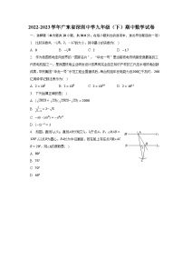 2022-2023学年广东省深圳中学九年级（下）期中数学试卷（含解析）