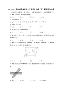 2022-2023学年湖北省武汉市汉阳区八年级（下）期中数学试卷（含解析）