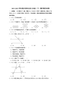 重庆市彭水县2022-2023学年七年级下学期期中数学试卷