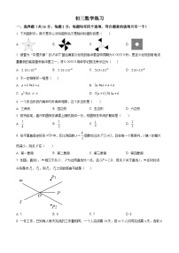 北京市清华大学附属中学九年级下学期3月考+数学试题