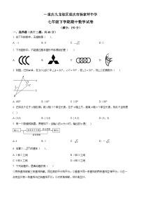 重庆市九龙坡区杨家坪中学七年级下学期期中数学试题