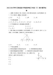 2022-2023学年天津实验中学滨海学校八年级（下）期中数学试卷（含解析）