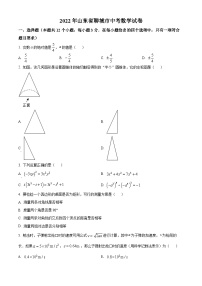 2022年山东省聊城市中考数学真题